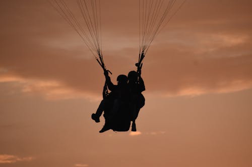 Silhouette of People Parachuting at Sunset