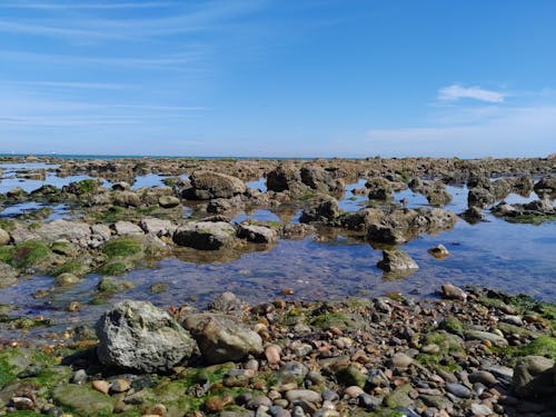 Безкоштовне стокове фото на тему «берег моря, камені, мокрий»