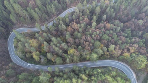 Ingyenes stockfotó drone kamera témában