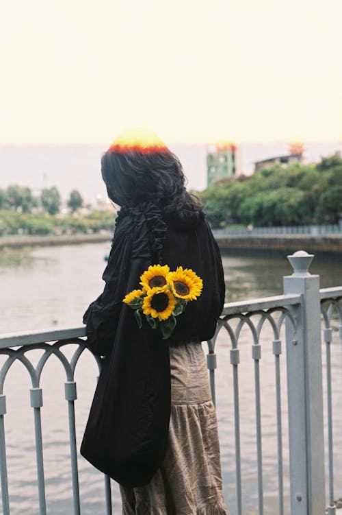 Gratis stockfoto met achteraanzicht, balustrade, bloemen