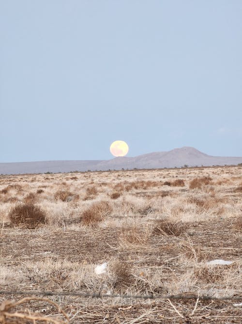 Immagine gratuita di campo, colline, luna