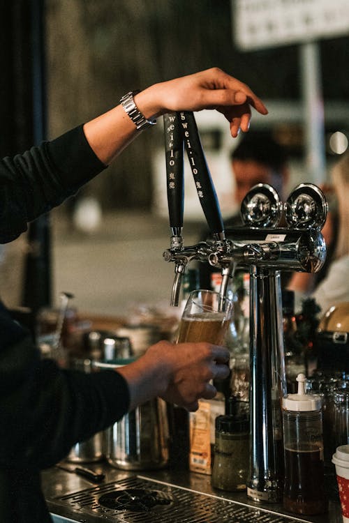 Základová fotografie zdarma na téma bar, barman, čepované pivo