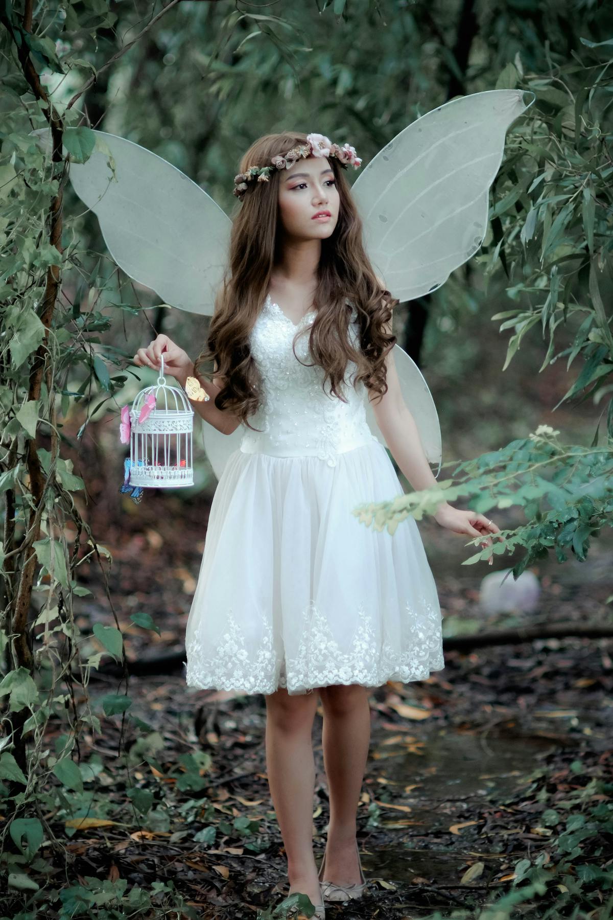 Fairy Photos, Download The BEST Free Fairy Stock Photos & HD Images