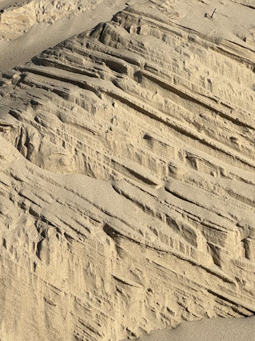 бесплатная Бесплатное стоковое фото с вертикальный выстрел, дюны, засушливый Стоковое фото