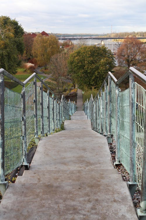 Free stock photo of garden, stairs, university library