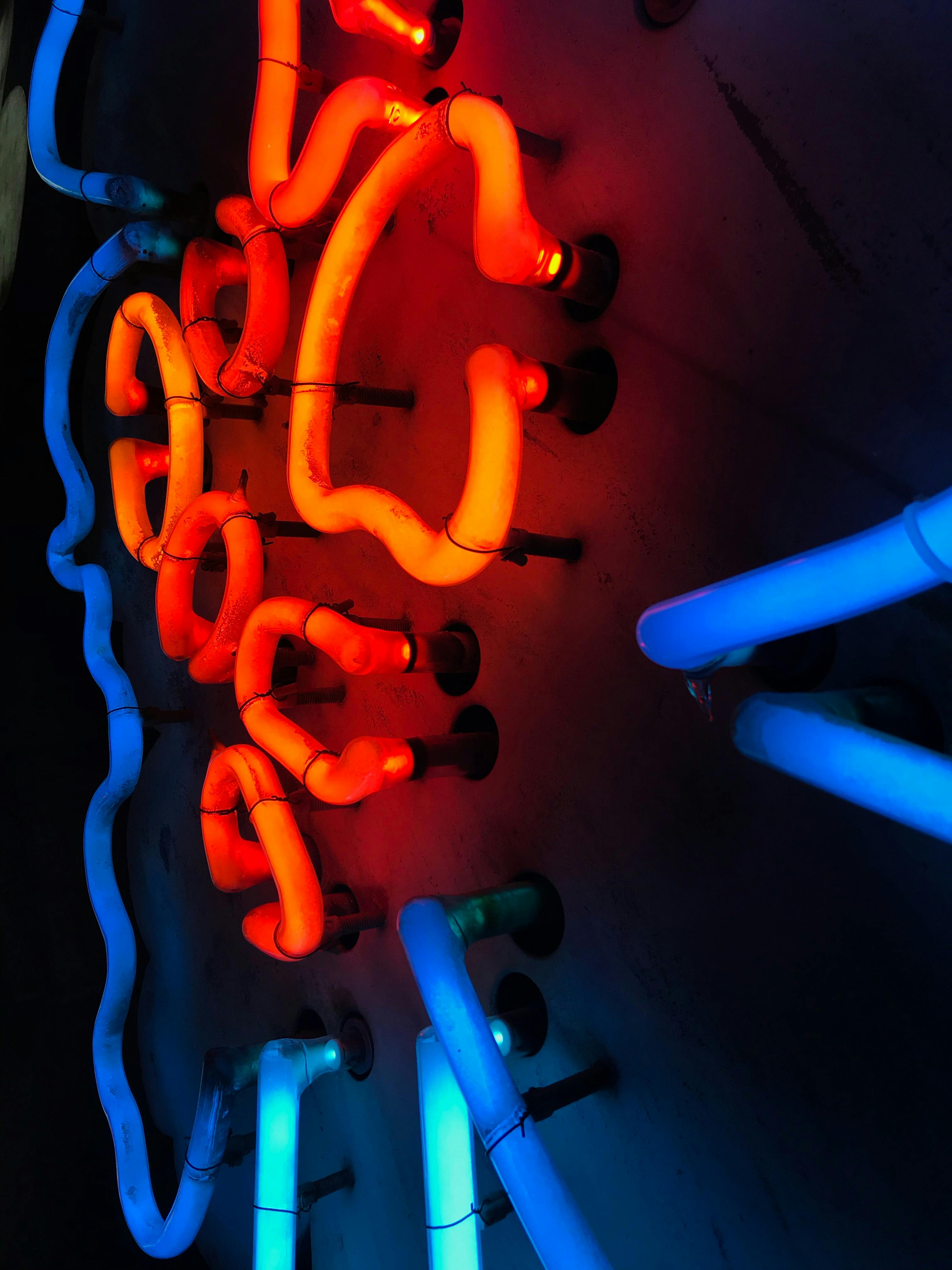 Free stock photo of blue, neon, neon light