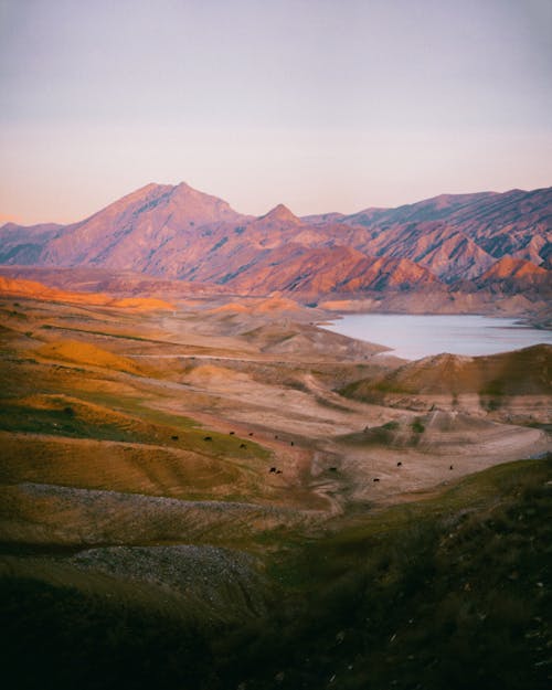 Základová fotografie zdarma na téma jezero, kopce, krajina
