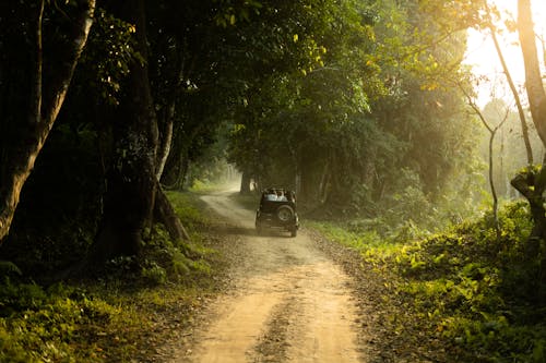 Kostenloses Stock Foto zu 4x4, abenteuer, außerorts