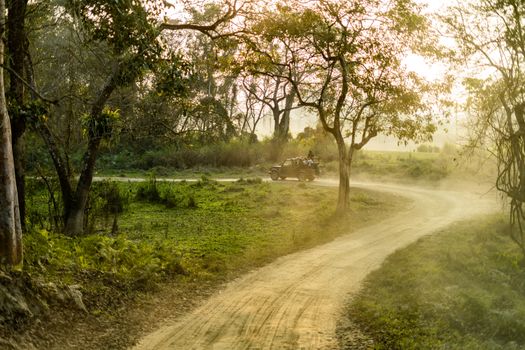 Free stock photo of country, countryside, dawn
