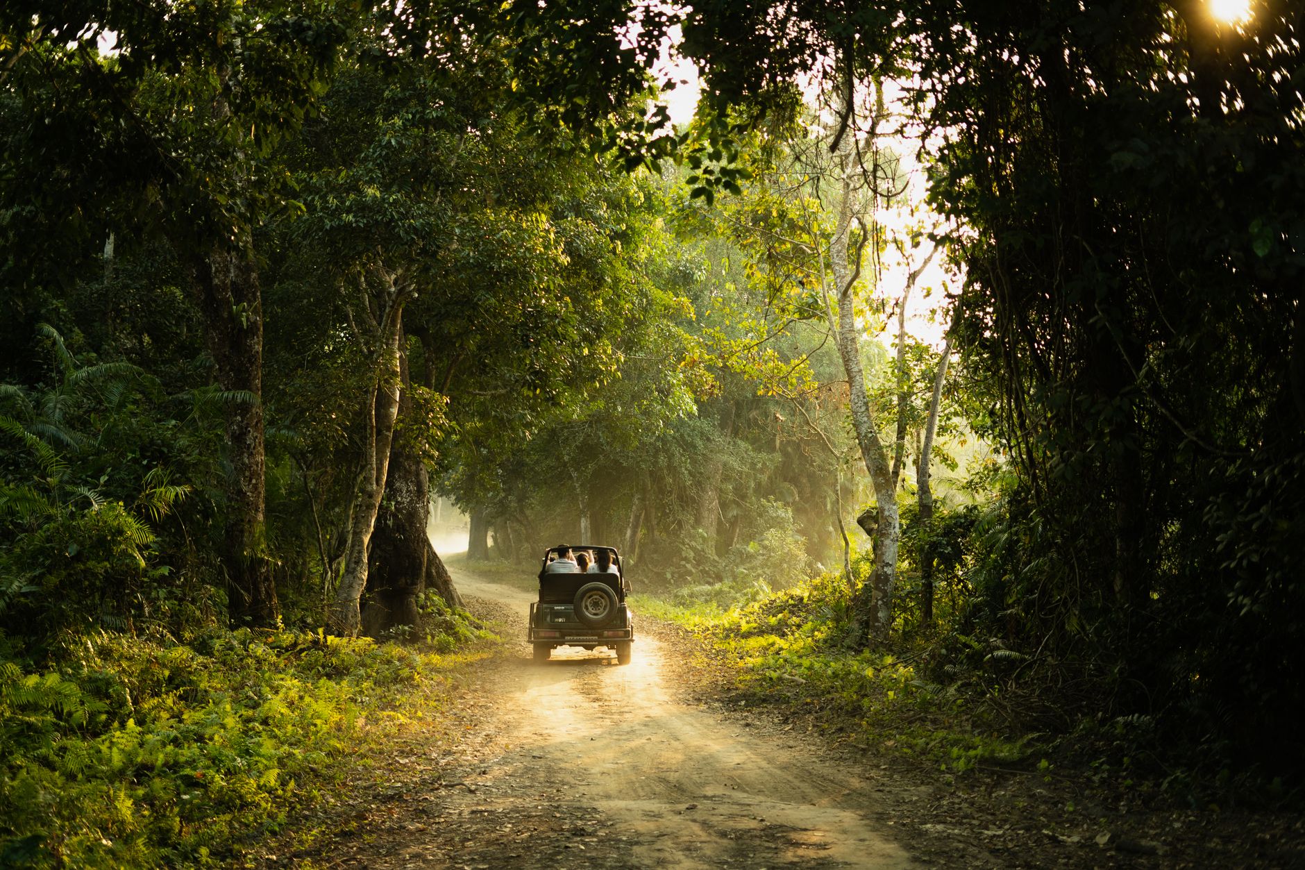 A jeep navigates a serene forest path during sunset, creating an adventurous ambiance.