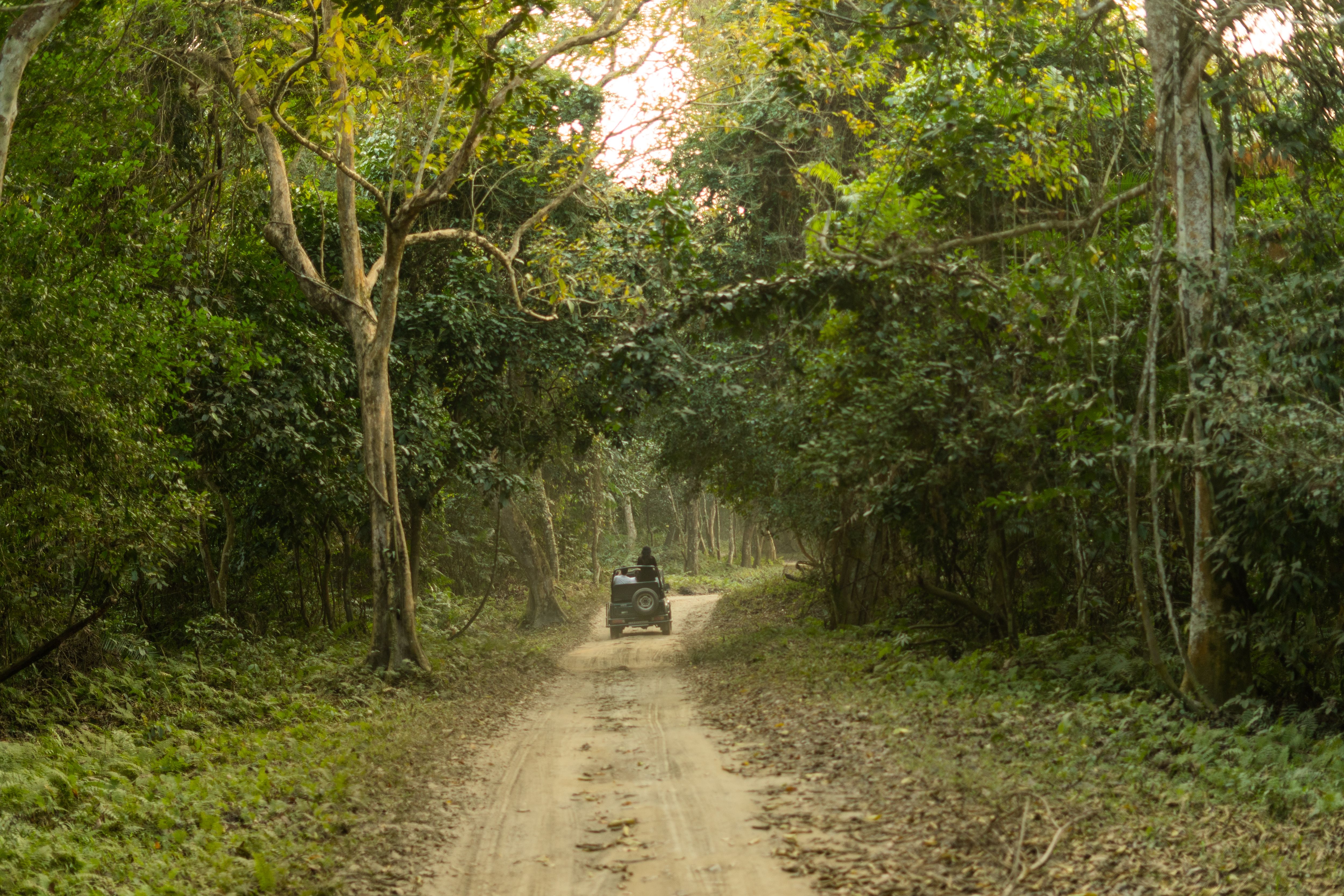 Overland Travel Insurance UK 2026: Multi-Country Journey Guide