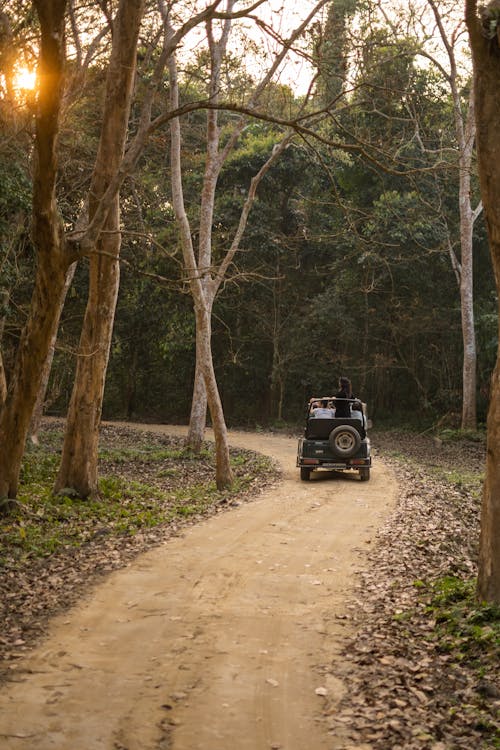 An Off Road Car on a Road in the Forest 