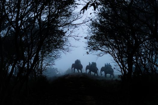 Free stock photo of backlit, cavalry, cold