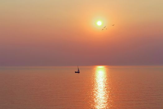 Sun over Flying Birds and Sailing Sailboat