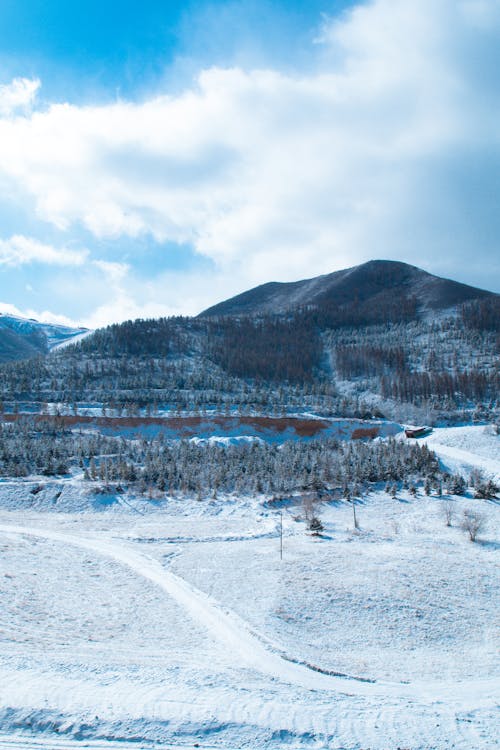 Clouds over Forest and Hill in Winter