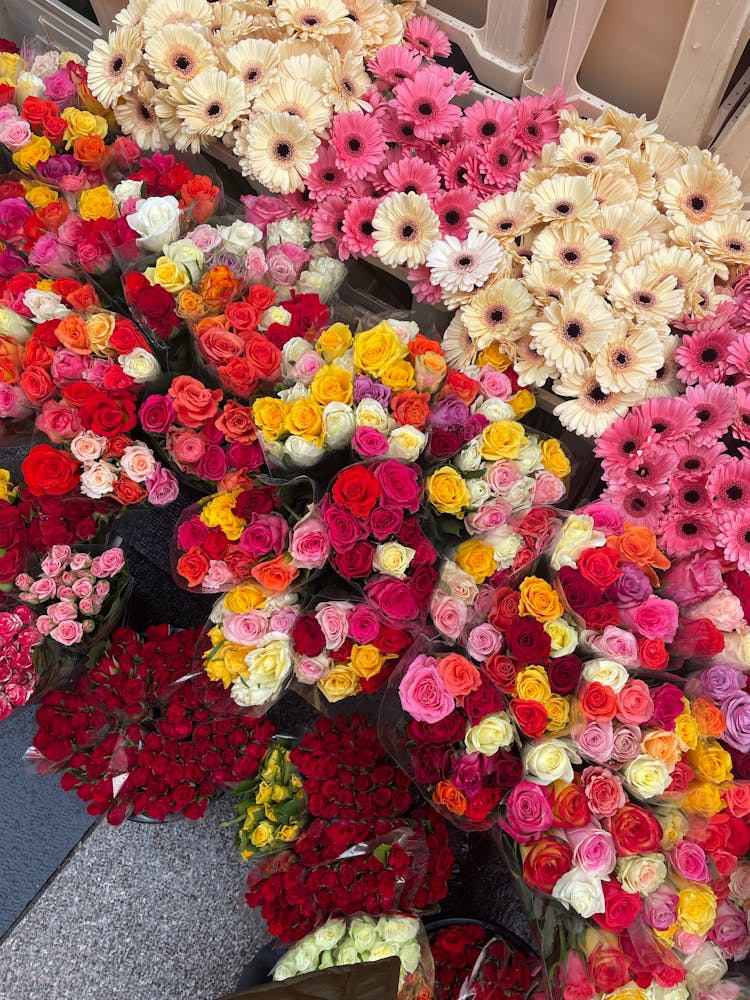 Variety Of Fresh Flowers For Sale