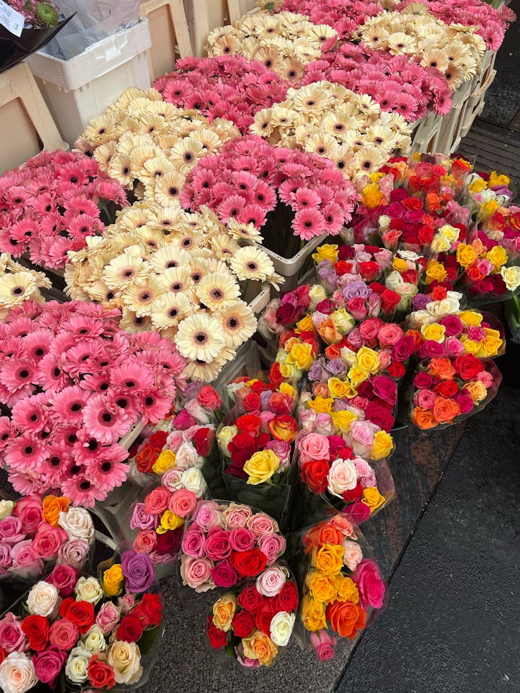 Fresh Flowers For Sale