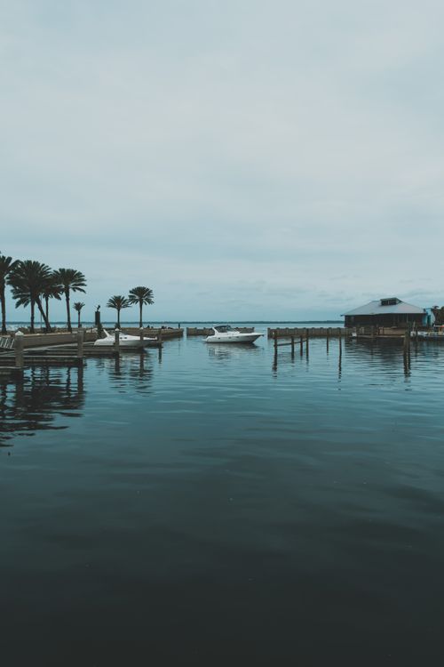 Free Tranquil coastal scene showcasing palm trees and moored boats under a cloudy sky. Stock Photo
