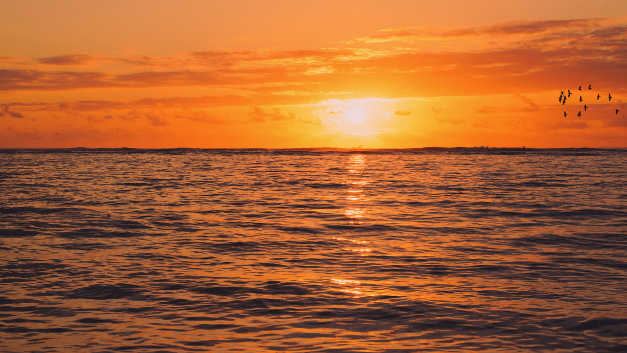 The Ocean During Sunset · Free Stock Photo