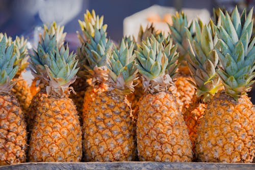 Kostnadsfri bild av ananas, exotisk, frukt