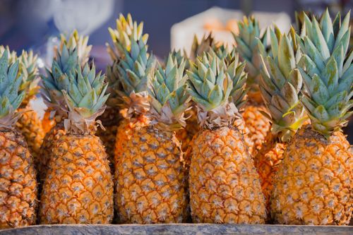 Free A vibrant display of ripe pineapples at a market in Vitória, Brazil. Stock Photo