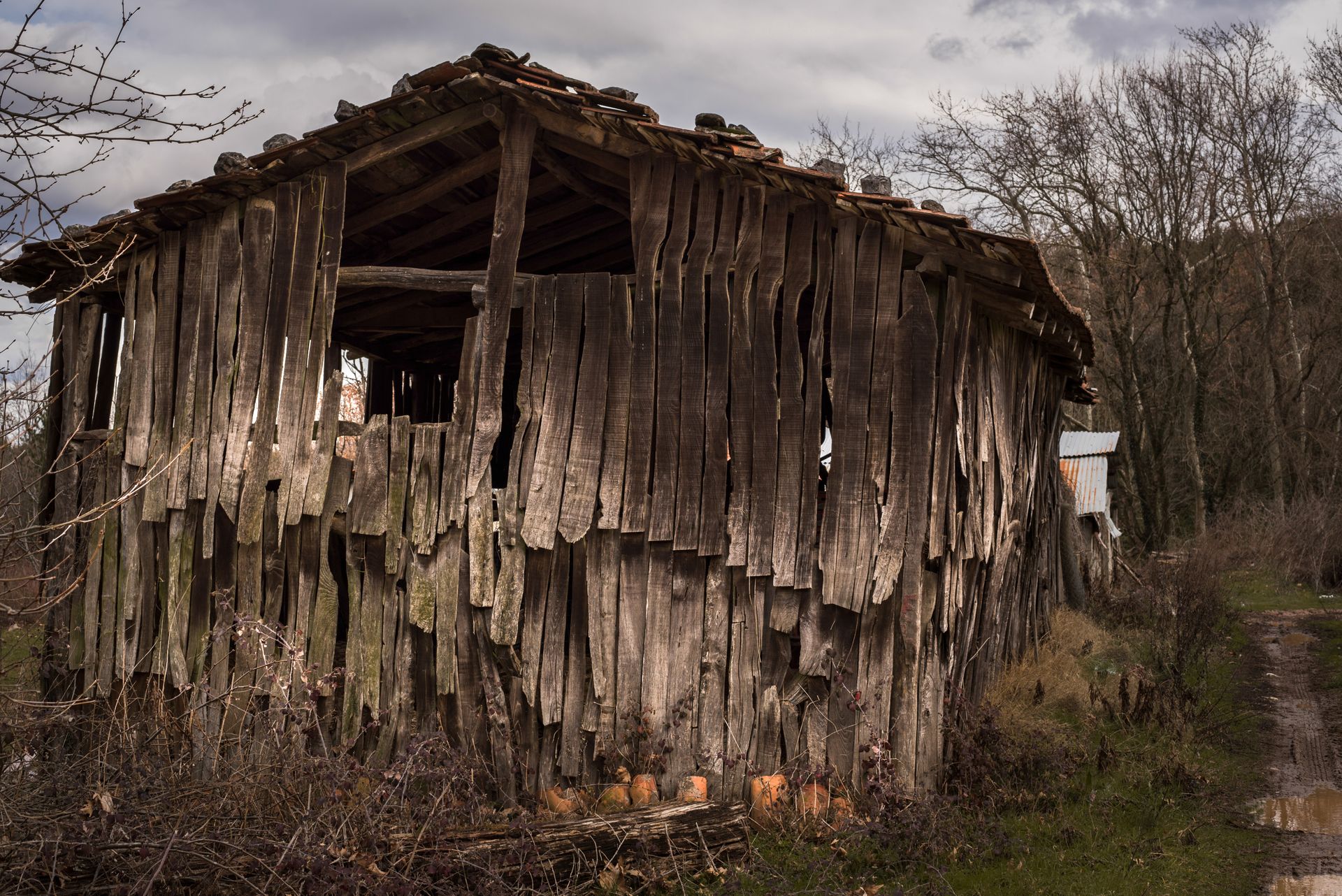 Old Abandoned Wooden House in Forest