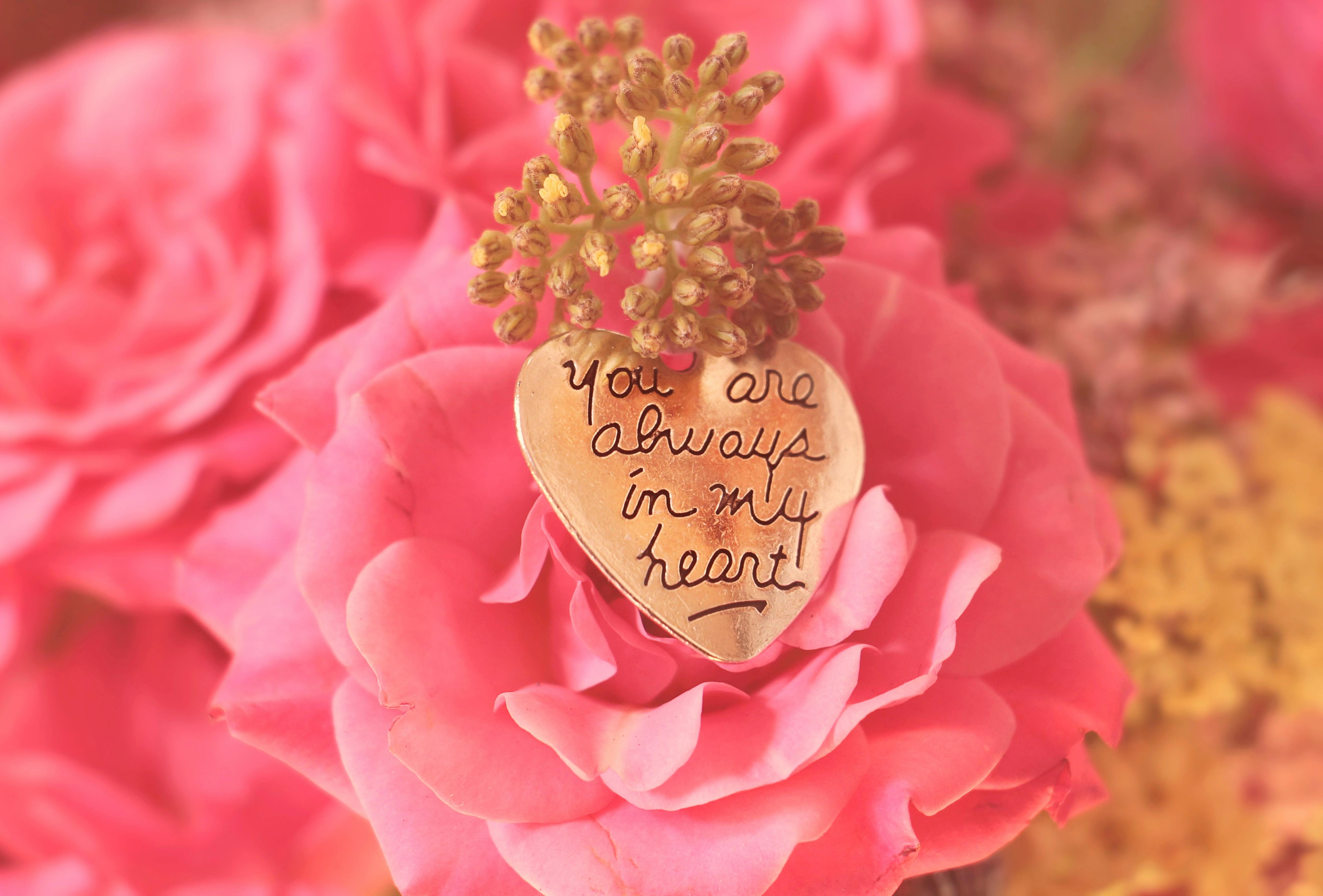 1000 engaging pink roses