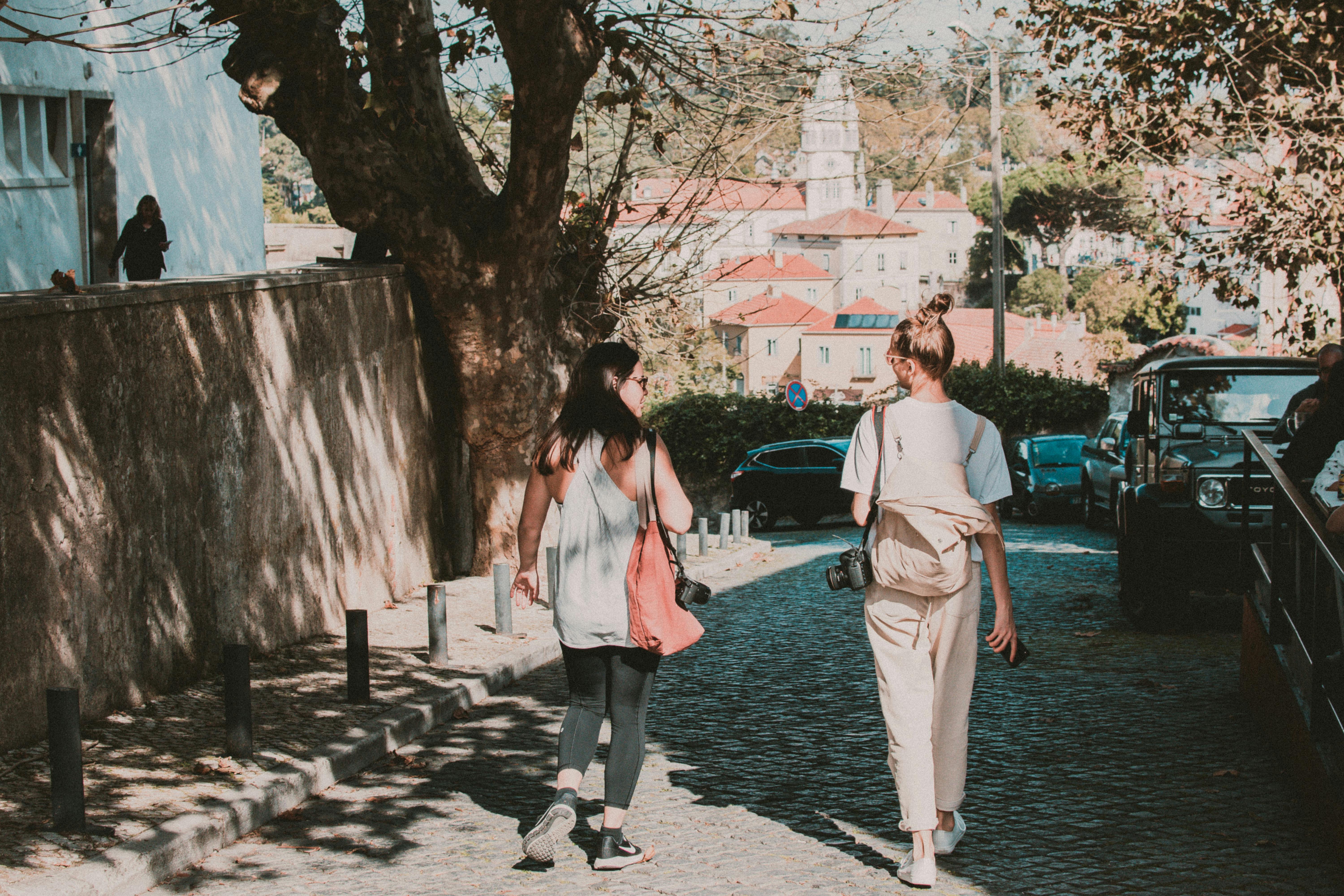 anncios classificados grtis em portugal