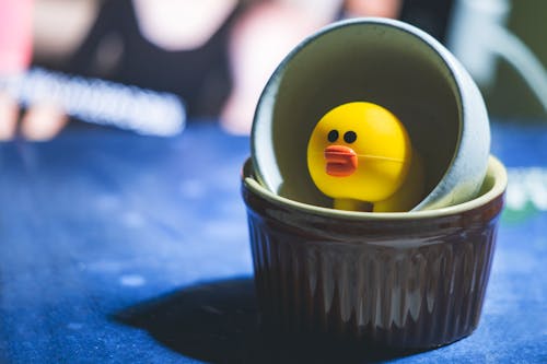 Free Yellow Duckling in White Container on Blue Textile Stock Photo