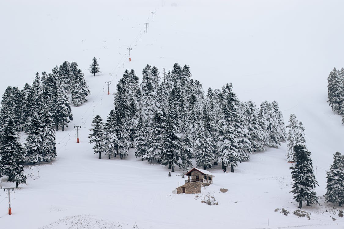 Kostnadsfri bild av berg, landskap, skidbacke