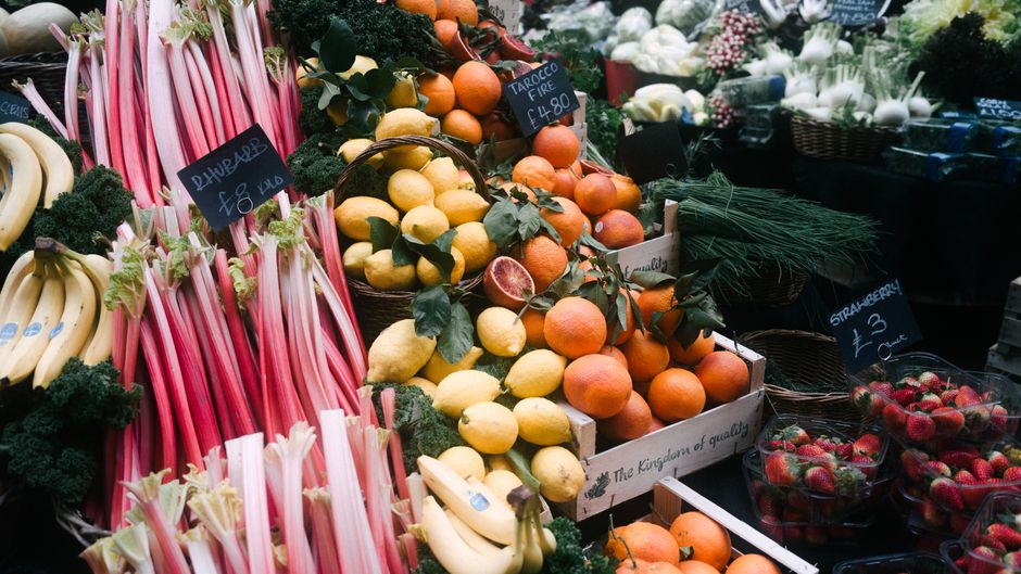 Ottawa Spring Gardening: Why Rhubarb Belongs in Every Backyard