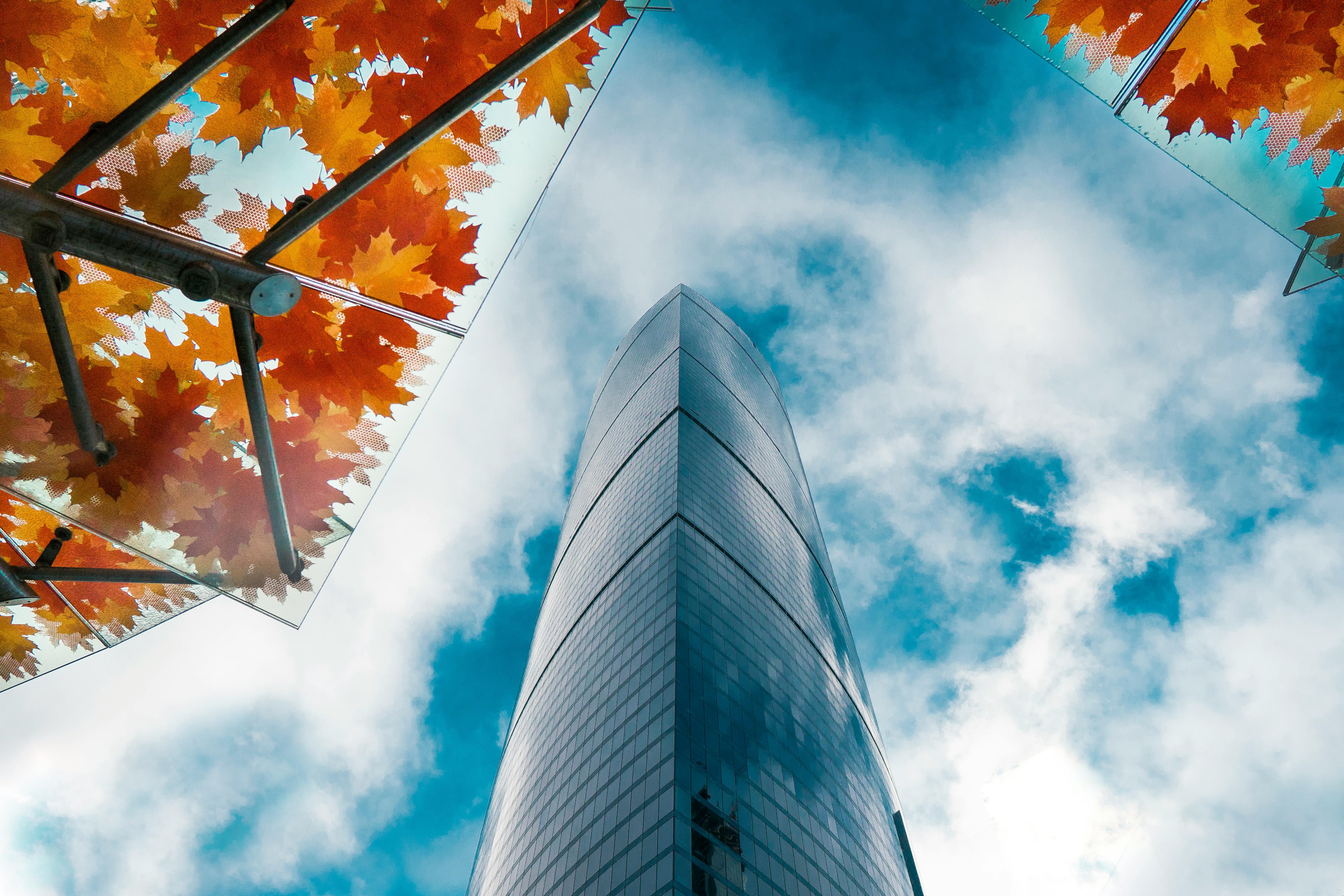 Free stock photo of moscow