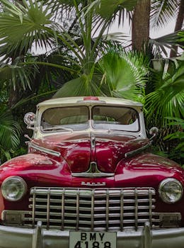 Classic red Dodge car parked in tropical setting with lush palm leaves, exuding vintage charm.
