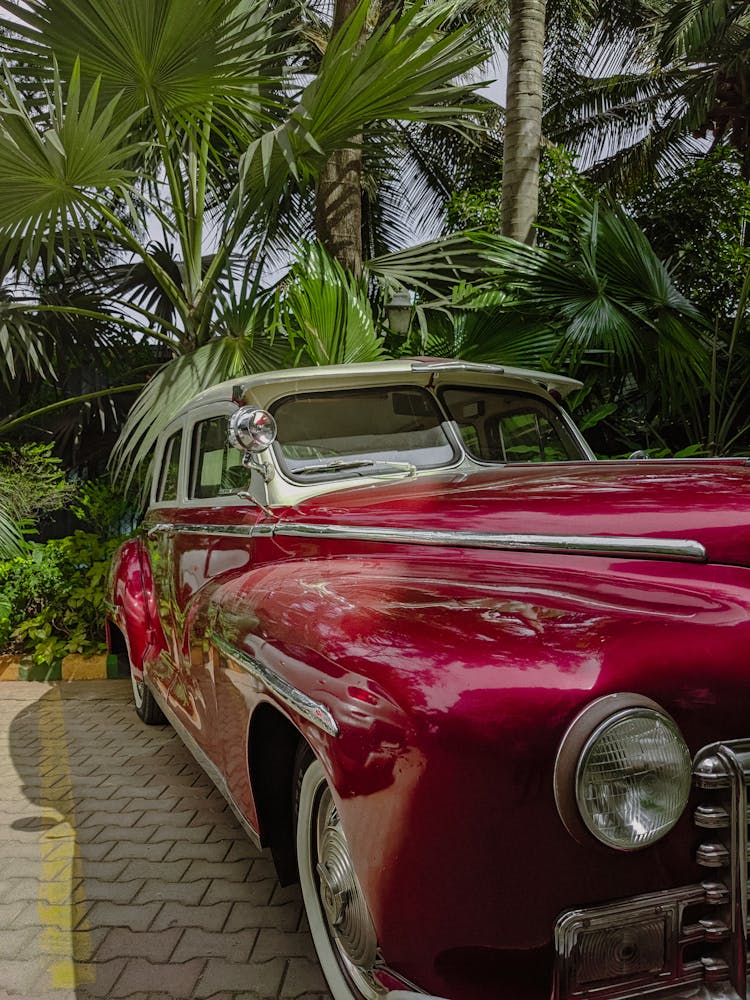 Red Vintage Car Parked Near Plants