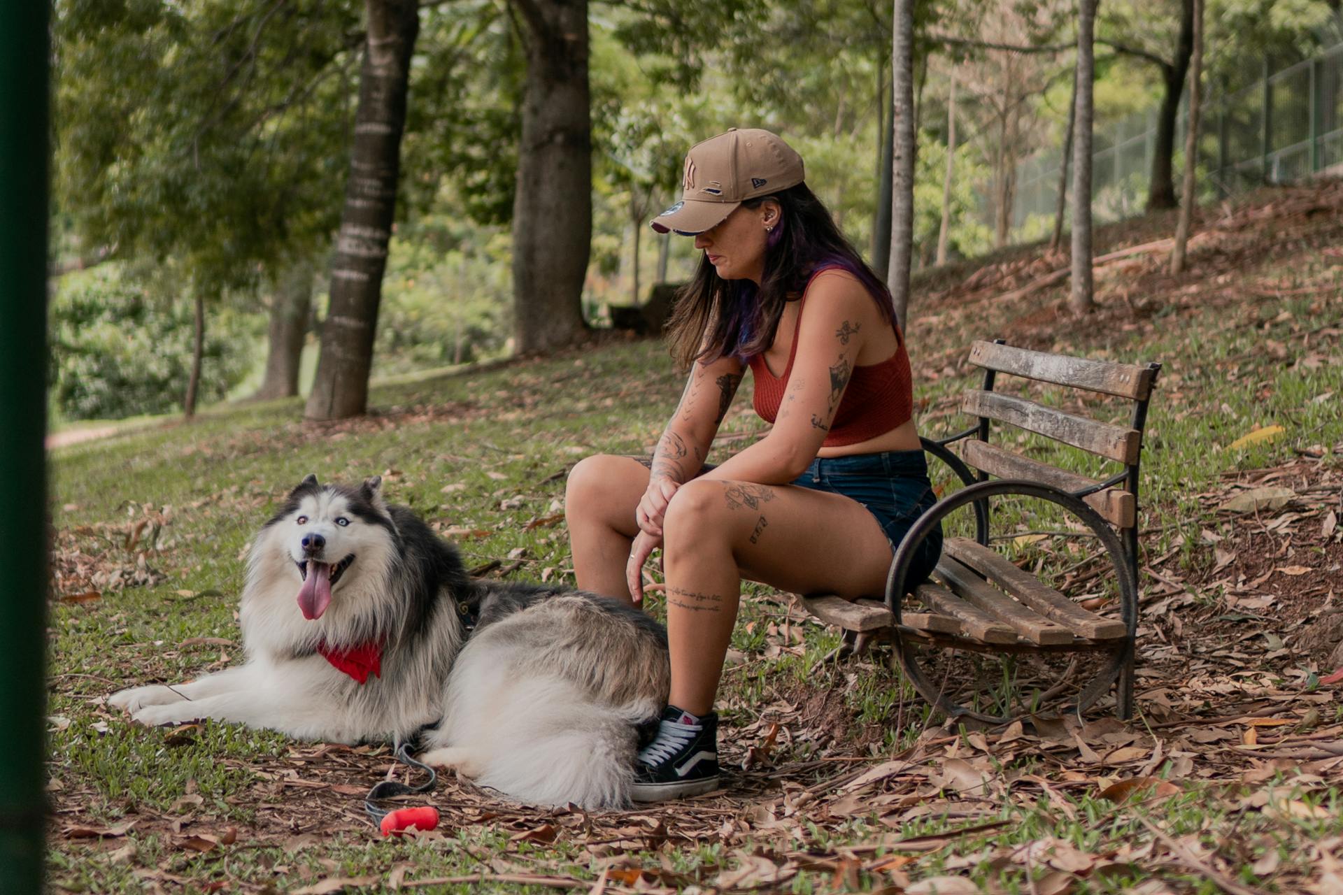 Young Woman Sitting on a Park Bench with an Alaskan Malamute at Her Feet