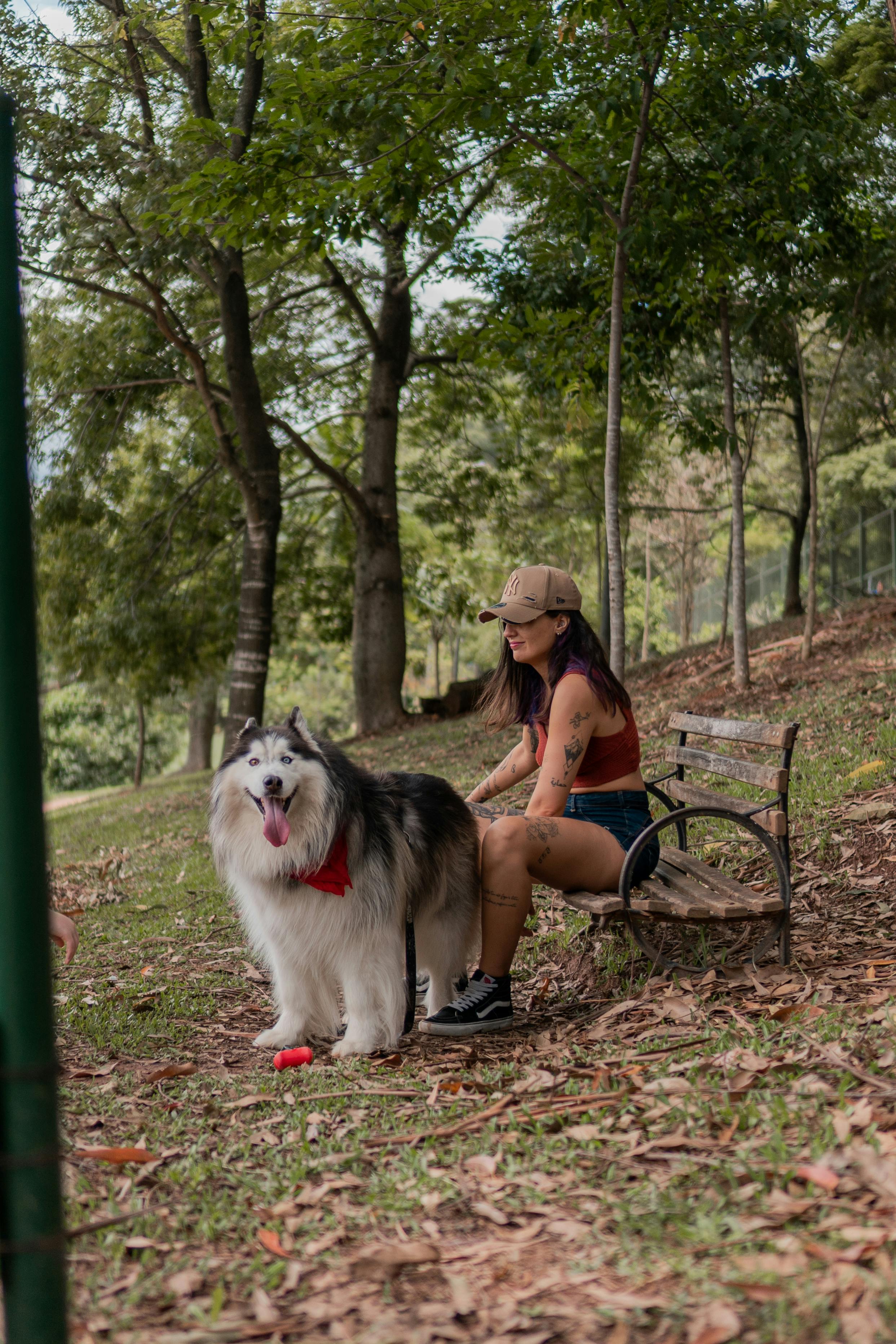 Federation dog care moment for how to with calm training focus