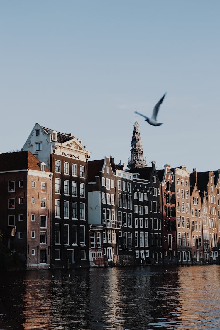 Buildings Near Canal In City