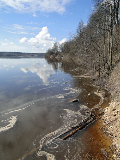 Immagine gratuita di acqua, fiume, giorno soleggiato