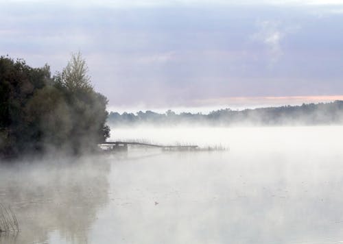 Immagine gratuita di alba, ambiente, etereo