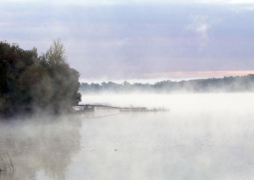 Free Ethereal foggy landscape of a serene lake at dawn in Lielvārde, Latvia. Stock Photo