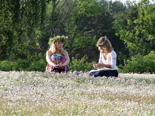 Immagine gratuita di corone, estate, fiori