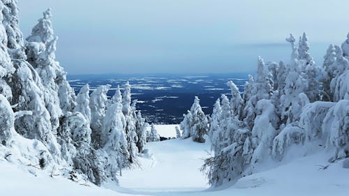 Free stock photo of mountain area, snow mountain