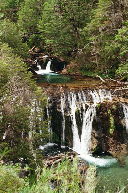 Free A serene waterfall flows through a dense, lush forest, showcasing nature's tranquility and beauty. Stock Photo