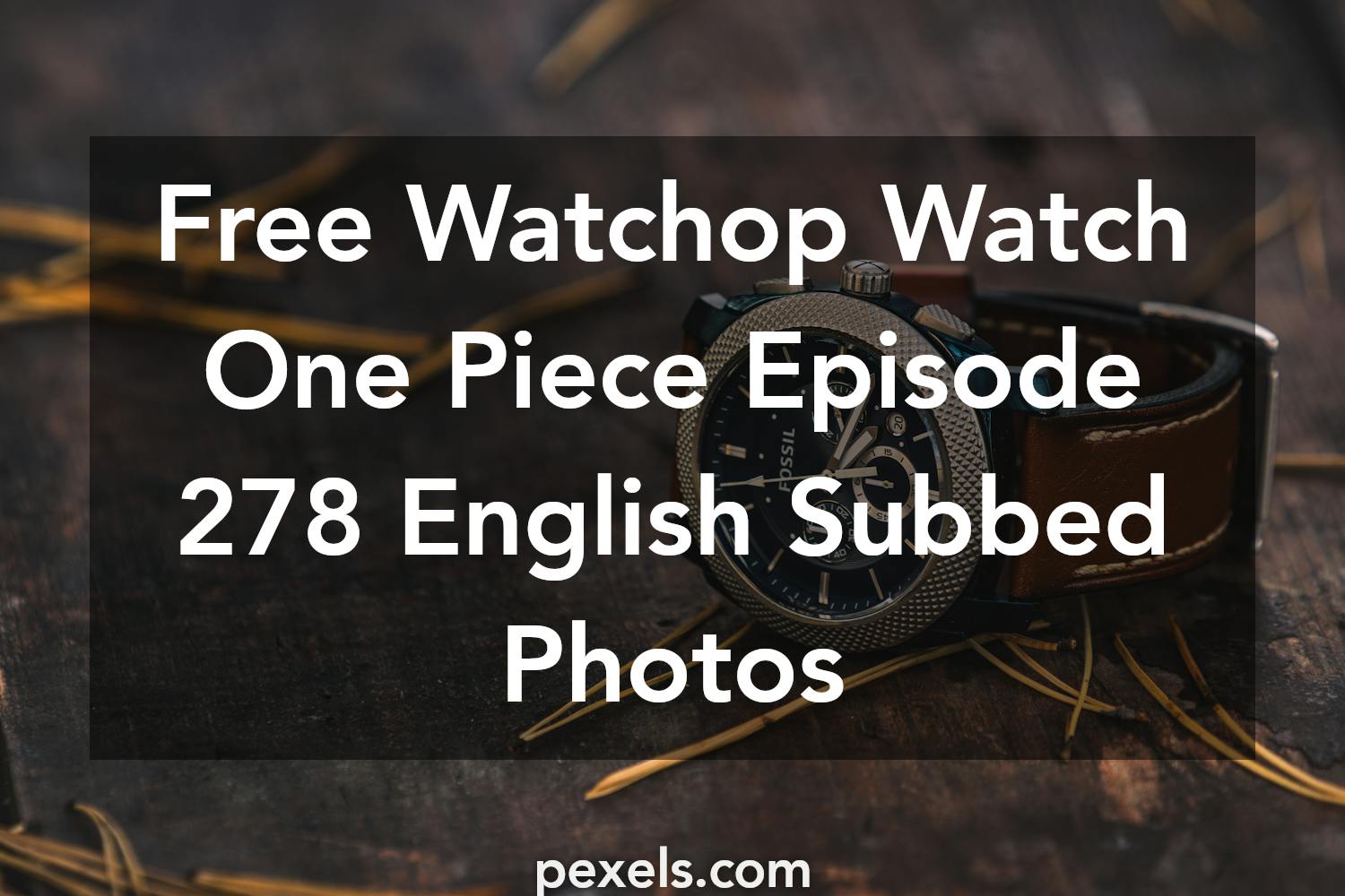 Watch One Piece English Sub