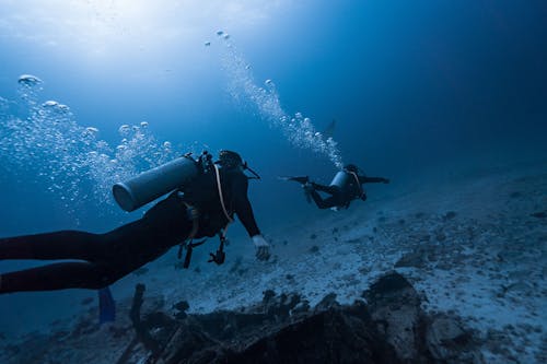 People Diving on Seabed