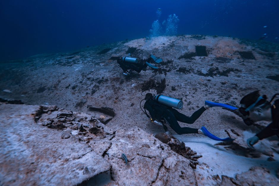 Otra foto de Jardines del Coral de la Isla de Beqa