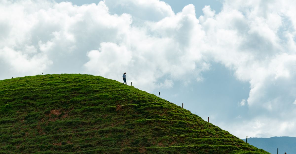 Destinasi Wisata Ramah Anak & Keluarga yang Tak Terlupakan 2 pexels photo 15463416