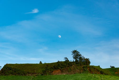 Bezpłatne Darmowe zdjęcie z galerii z drzewa, krajobraz, księżyc Zdjęcie z galerii