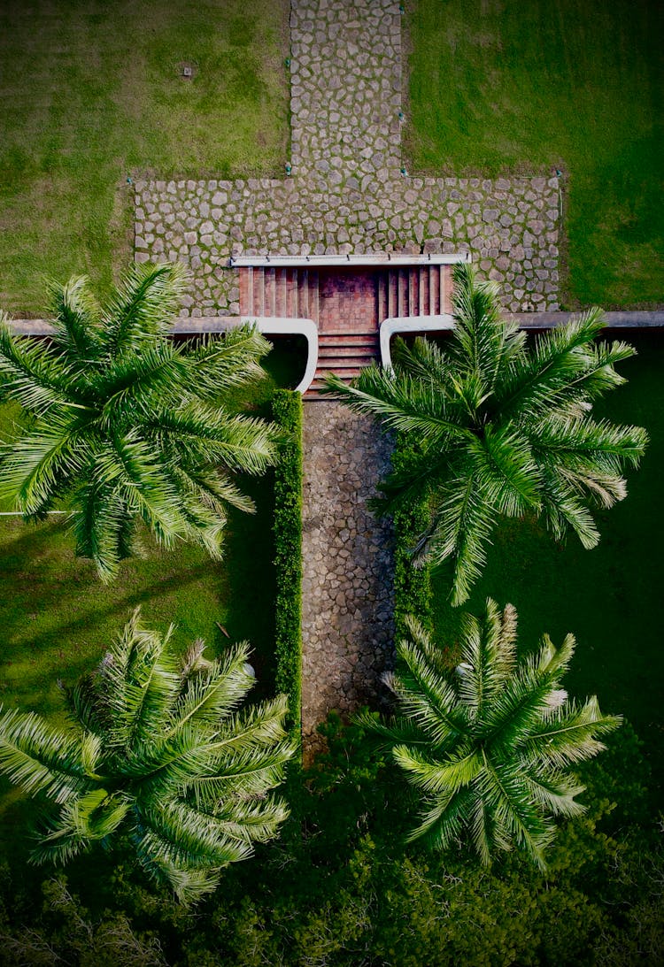 Drone Shot Of Garden Paths