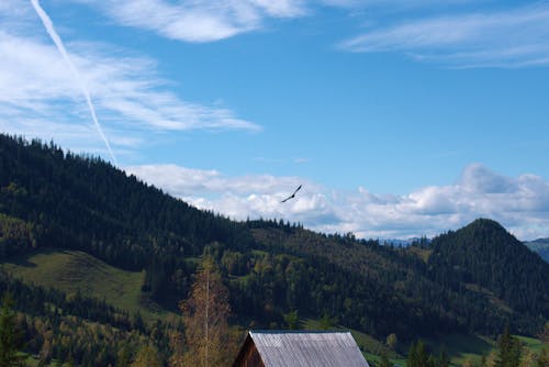 Gratis lagerfoto af bjerg, dagslys, flyve Lagerfoto